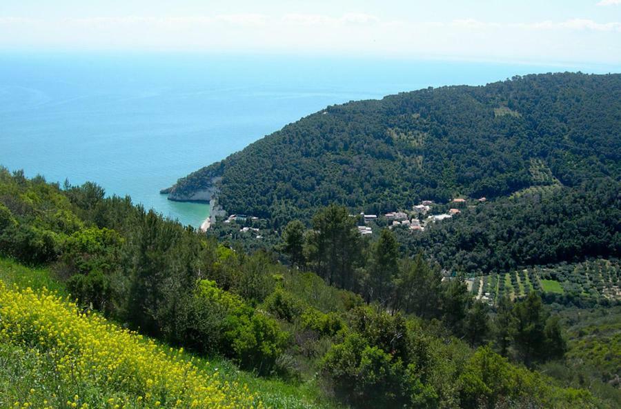 Villa Zagare Маттіната Екстер'єр фото